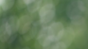 La Universidad de Colgate está ampliando su compromiso para hacer la educación más accesible.