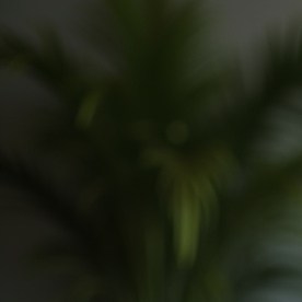 Beneficios del Seguro Social en EE.UU.