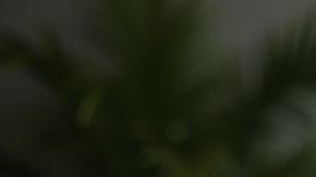 Beneficios del Seguro Social en EE.UU.