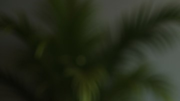 Beneficios del Seguro Social en EE.UU.