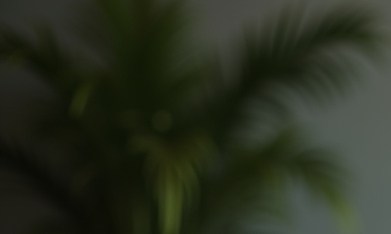 Beneficios del Seguro Social en EE.UU.