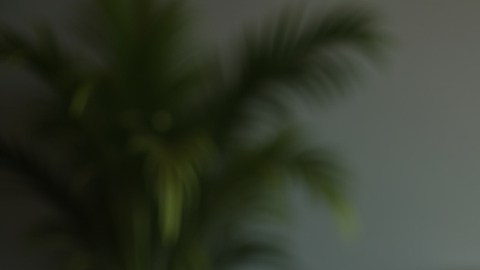 Beneficios del Seguro Social en EE.UU.