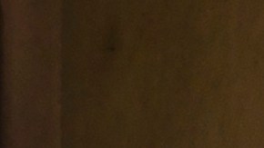 Cheque de estímulo de Nueva York