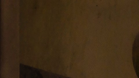 Cheque de estímulo de Nueva York