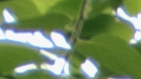 Desalojo en Estados Unidos