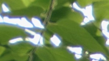 Desalojo en Estados Unidos