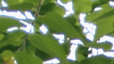 Desalojo en Estados Unidos