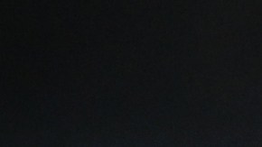 Donald Trump y los cupones SNAP