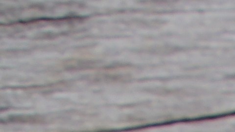 Ganancias de capital