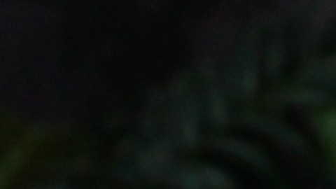 Seguro de responsabilidad