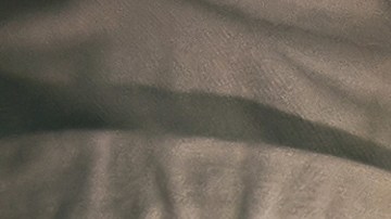 Thanks Giving Day 2025