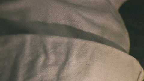 Thanks Giving Day 2025