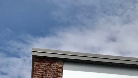 ALDI opera con un modelo "sin lujos" que reduce costos mediante características como exigir a los clientes que utilicen una moneda de 25 centavos para los carritos y exhibir los artículos en sus cajas de envío originales.