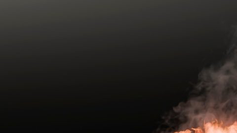 Las personas boicotean tiendas y marcas por diversas razones morales, políticas, sociales y ambientales.