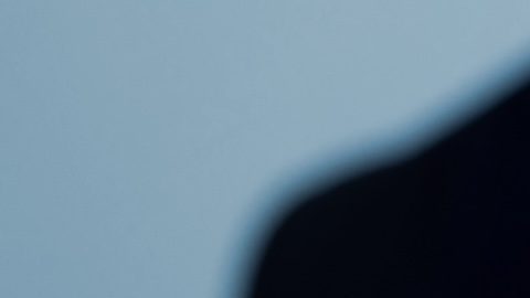 Las empresas de inversión reúnen el capital de los inversores para invertir en una amplia gama de valores, como acciones, bonos y materias primas.