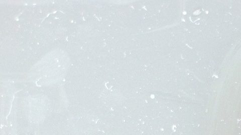 Cada vez es menos común que los estados graven las prestaciones de la Seguridad Social, pero algunos todavía lo hacen.