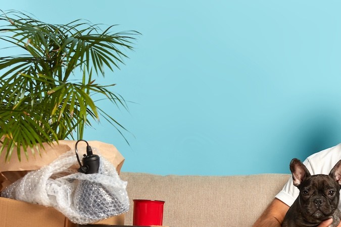 Según las reformas aprobadas por la mayoría de los concejales, las subidas de alquileres se limitarían al 4%, incluso si la inflación en la economía general es mayor.