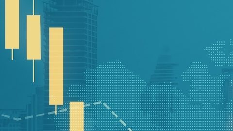 Las acciones de primera categoría de hoy en día se parecen en muchos aspectos a las acciones del Nifty Fifty de décadas anteriores.