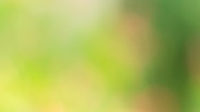 El reembolso de participaciones en fondos de inversión requiere una solicitud formal al gestor del fondo y el pago suele ser el valor de mercado menos las comisiones aplicables.