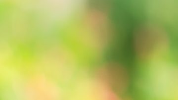 El reembolso de participaciones en fondos de inversión requiere una solicitud formal al gestor del fondo y el pago suele ser el valor de mercado menos las comisiones aplicables.