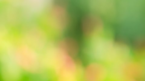 El reembolso de participaciones en fondos de inversión requiere una solicitud formal al gestor del fondo y el pago suele ser el valor de mercado menos las comisiones aplicables.