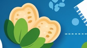 A pesar de los comentarios de la Secretaria de Agricultura de los Estados Unidos, Brooke Rollins, sobre obligar a los beneficiarios del SNAP a volver a solicitar los beneficios, no se han implementado nuevos cambios.