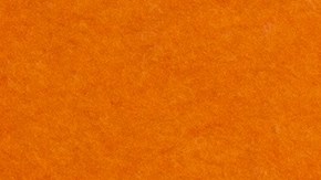 Estado de pérdidas y ganancias