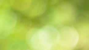 Una línea de crédito con garantía hipotecaria (HELOC) es una forma de financiamiento con tasa variable que le permite aprovechar el valor neto que tiene en su vivienda.