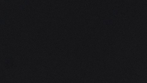 Internal Revenue Service