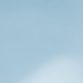 Internal Revenue Service