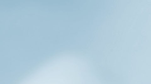 Internal Revenue Service