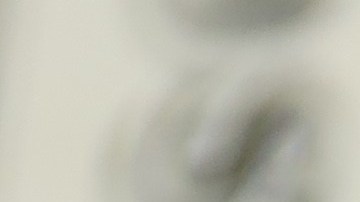 Pagos del Seguro Social