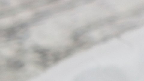 Cupones de alimentos en 2026