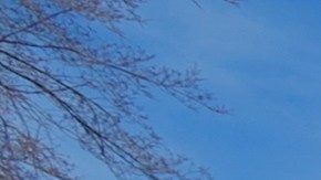 Transporte Público en Nueva York