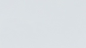 El sitio web de cuentas de Trump enumera siete empresas (Block, Uber, BlackRock, Mastercard, Visa, Bank of New York Mellon, Charter Communications) que han prometido "apoyo adicional".