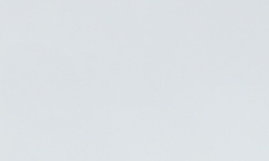 El sitio web de cuentas de Trump enumera siete empresas (Block, Uber, BlackRock, Mastercard, Visa, Bank of New York Mellon, Charter Communications) que han prometido "apoyo adicional".