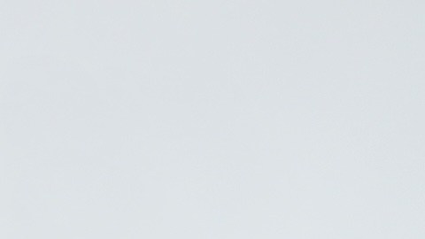 El sitio web de cuentas de Trump enumera siete empresas (Block, Uber, BlackRock, Mastercard, Visa, Bank of New York Mellon, Charter Communications) que han prometido "apoyo adicional".