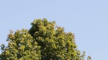 Otros cambios en Denny's incluyen un menú reducido, con el número de opciones reducido de 97 a 46.