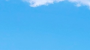 Dollar General se posiciona como la tienda de dólar más grande del país por cantidad de tiendas, mientras que Dollar Tree opera aproximadamente 16,500 sucursales en Estados Unidos y Canadá.