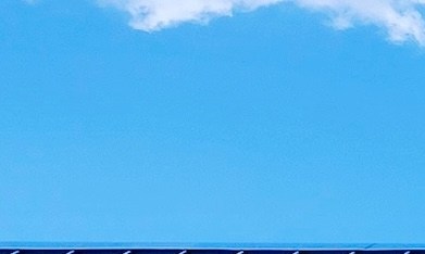 Dollar General se posiciona como la tienda de dólar más grande del país por cantidad de tiendas, mientras que Dollar Tree opera aproximadamente 16,500 sucursales en Estados Unidos y Canadá.