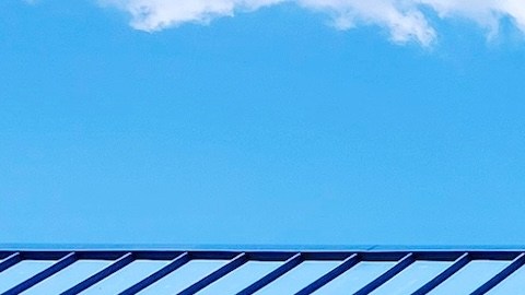 Dollar General se posiciona como la tienda de dólar más grande del país por cantidad de tiendas, mientras que Dollar Tree opera aproximadamente 16,500 sucursales en Estados Unidos y Canadá.