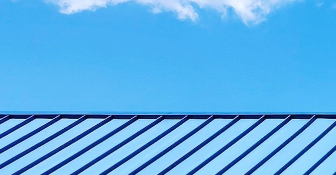 Dollar General se posiciona como la tienda de dólar más grande del país por cantidad de tiendas, mientras que Dollar Tree opera aproximadamente 16,500 sucursales en Estados Unidos y Canadá.