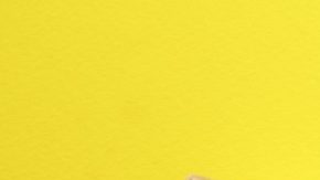 Instacart tampoco reveló claramente los términos de su servicio de suscripción Instacart+ y se negó a ofrecer reembolsos.