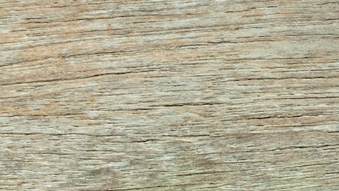 La media es el promedio matemático de un conjunto de dos o más números.