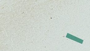 Las protecciones laborales se extienden a través del uso ampliado de la licencia por enfermedad paga para las víctimas de delitos y existen nuevos derechos de organización y negociación colectiva para los conductores de la red de transporte.