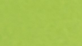 Los bancos intentan vender sus REO a través de un agente inmobiliario o publicando las propiedades en línea.