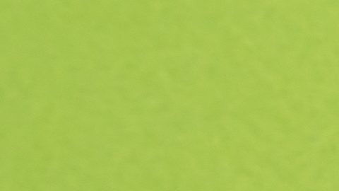 Los bancos intentan vender sus REO a través de un agente inmobiliario o publicando las propiedades en línea.