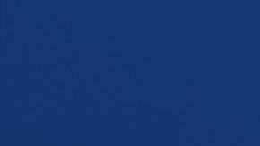 El DPS de Texas ha emitido 51,993 licencias o permisos comerciales a no ciudadanos desde 2015