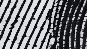 La tasa de cambio del dólar se refiere al tipo de cambio que tiene una moneda determinada con el dólar estadounidense.