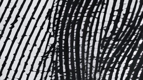 La tasa de cambio del dólar se refiere al tipo de cambio que tiene una moneda determinada con el dólar estadounidense.